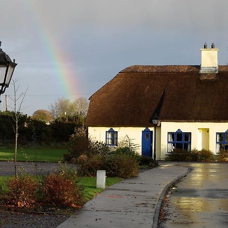 Old Killarney Cottages Extérieur photo