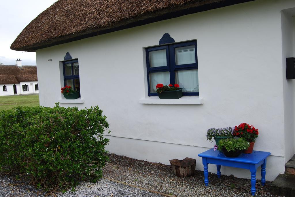 Old Killarney Cottages Extérieur photo