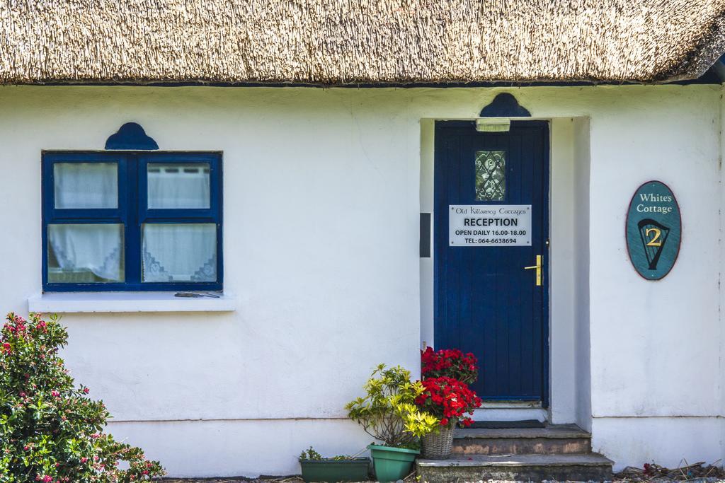 Old Killarney Cottages Extérieur photo